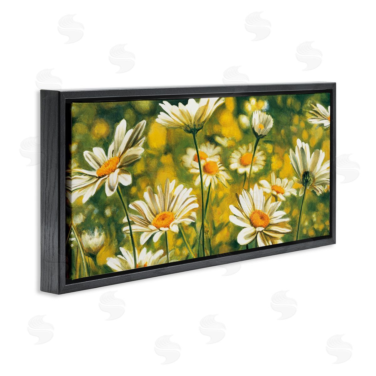 Pierre Viollet Wild Daisies Blooming Nature Garden