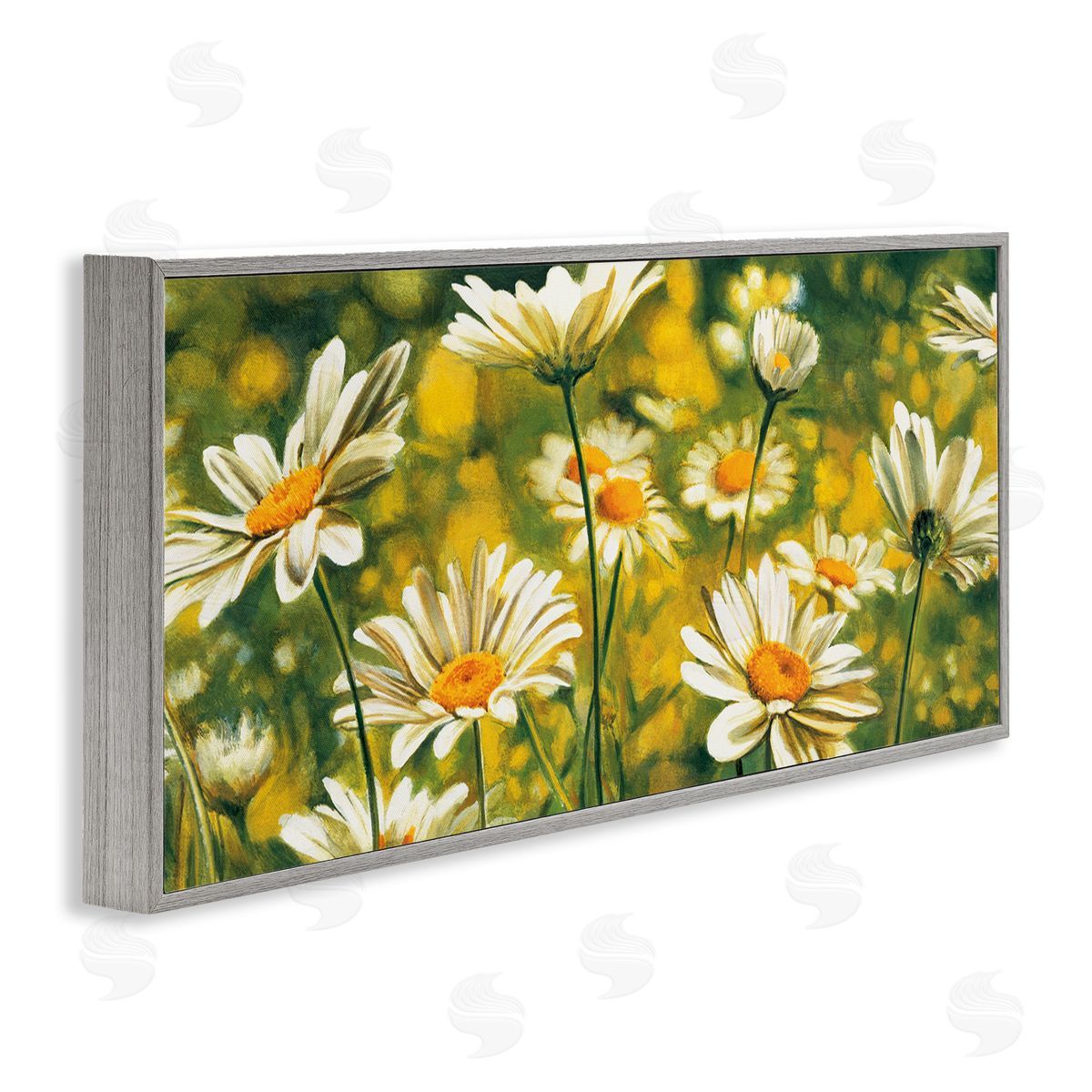 Pierre Viollet Wild Daisies Blooming Nature Garden