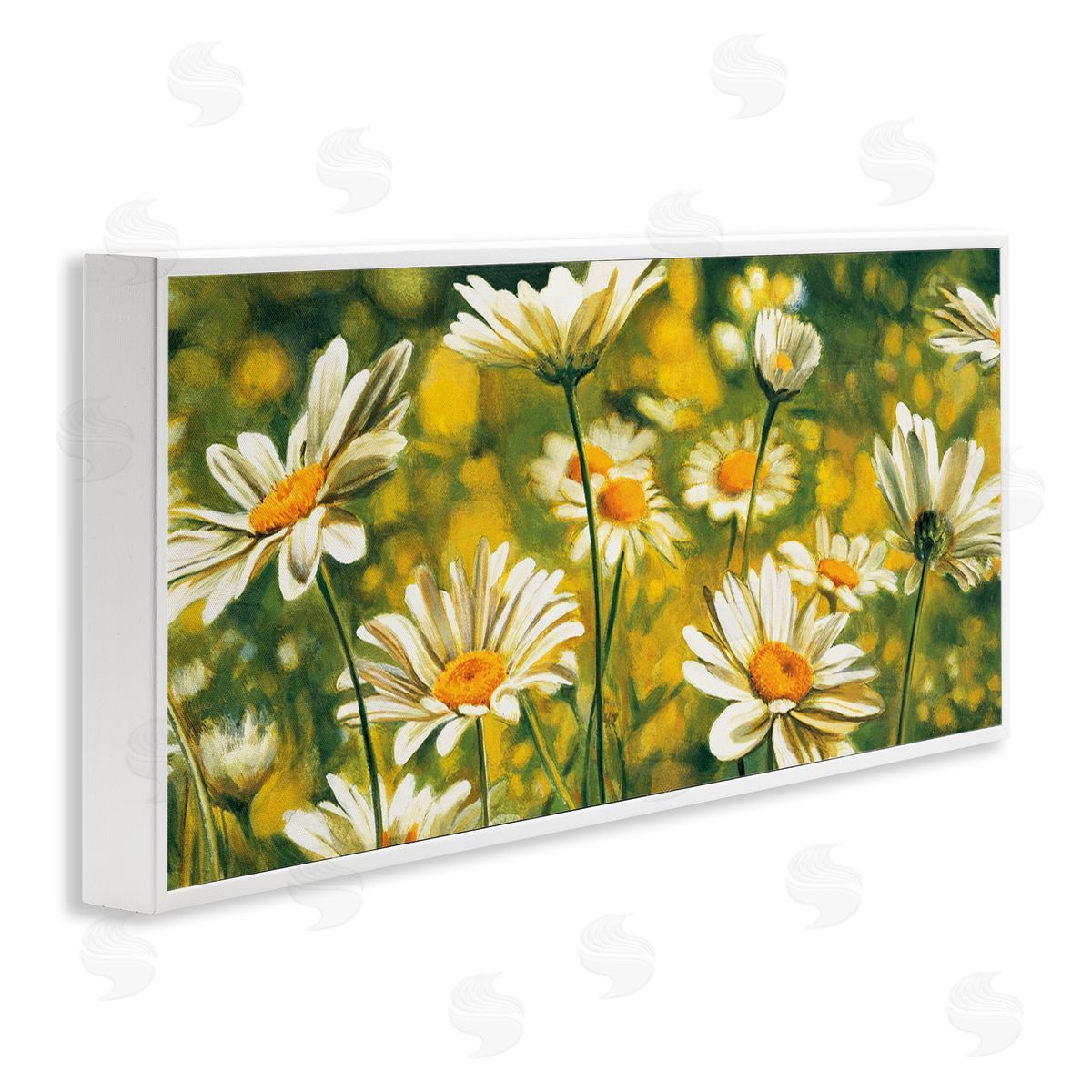 Pierre Viollet Wild Daisies Blooming Nature Garden