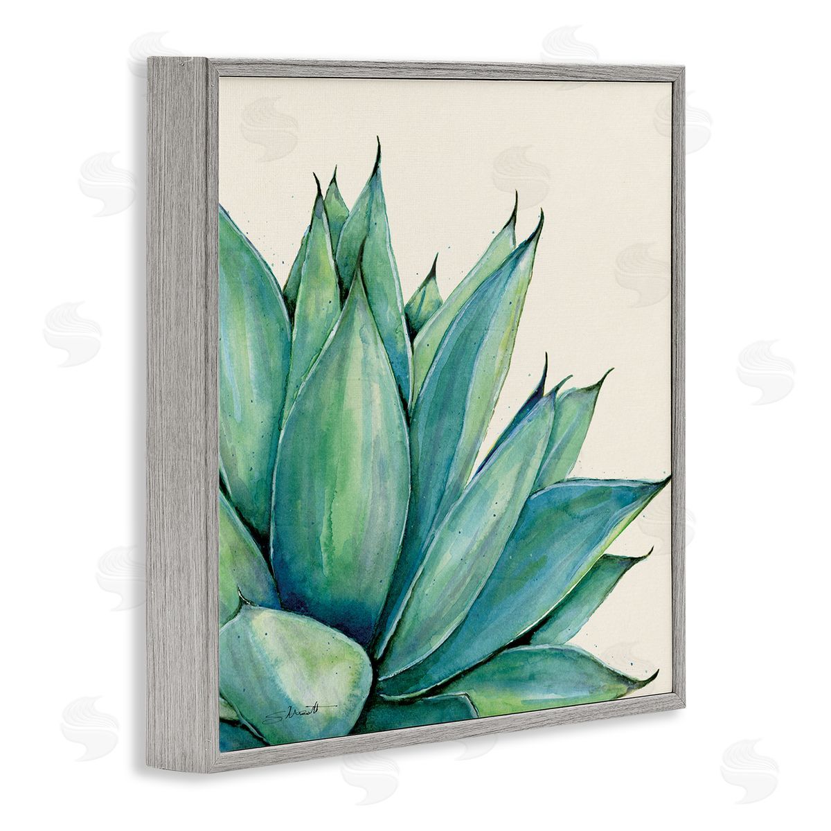 Stephanie Workman Marrott Aloe Plant Watercolor Style Leaves Gray Framed Glicee Wall Art Print