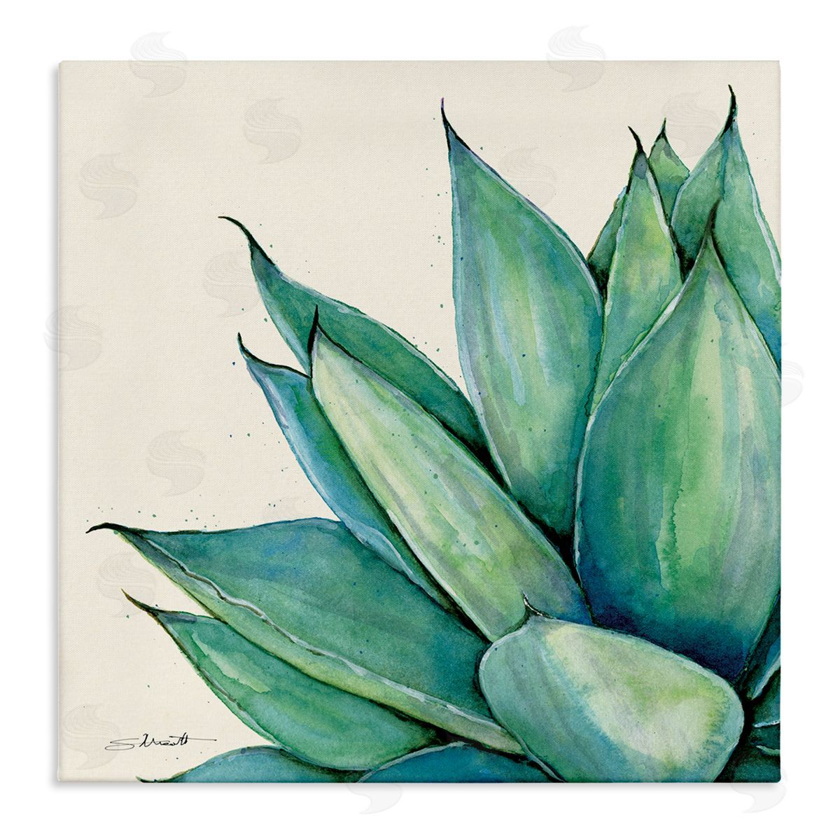 Stephanie Workman Marrott Green Aloe Plant Succulent Stretched Canvas Wall Art Print