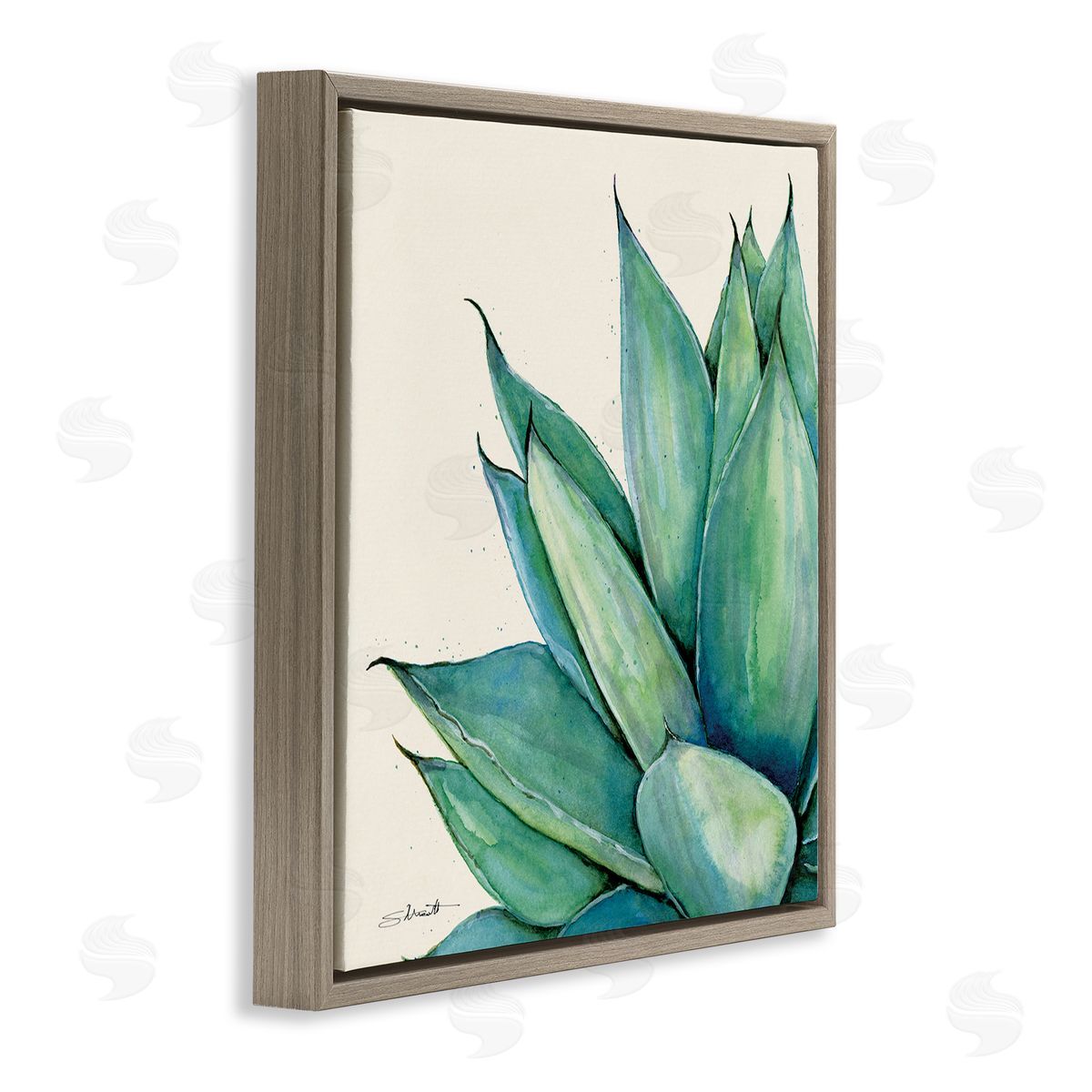 Stephanie Workman Marrott Green Aloe Plant Succulent Brown Floating Frame Canvas Wall Art Print