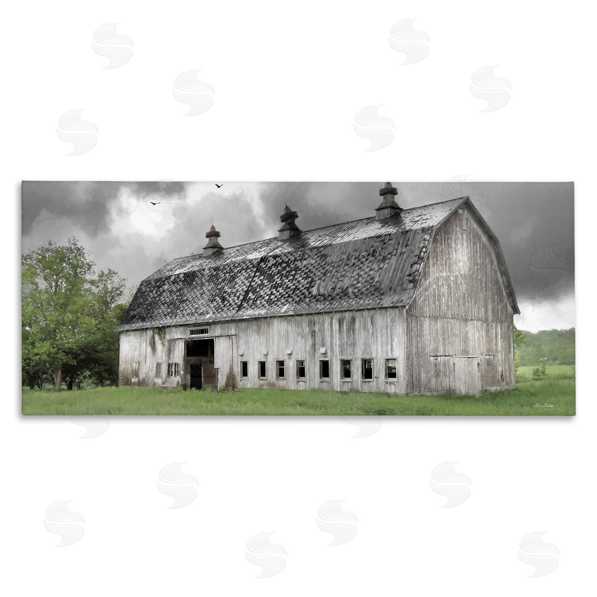 Lori Deiter Farmland Barn Overhead Clouds