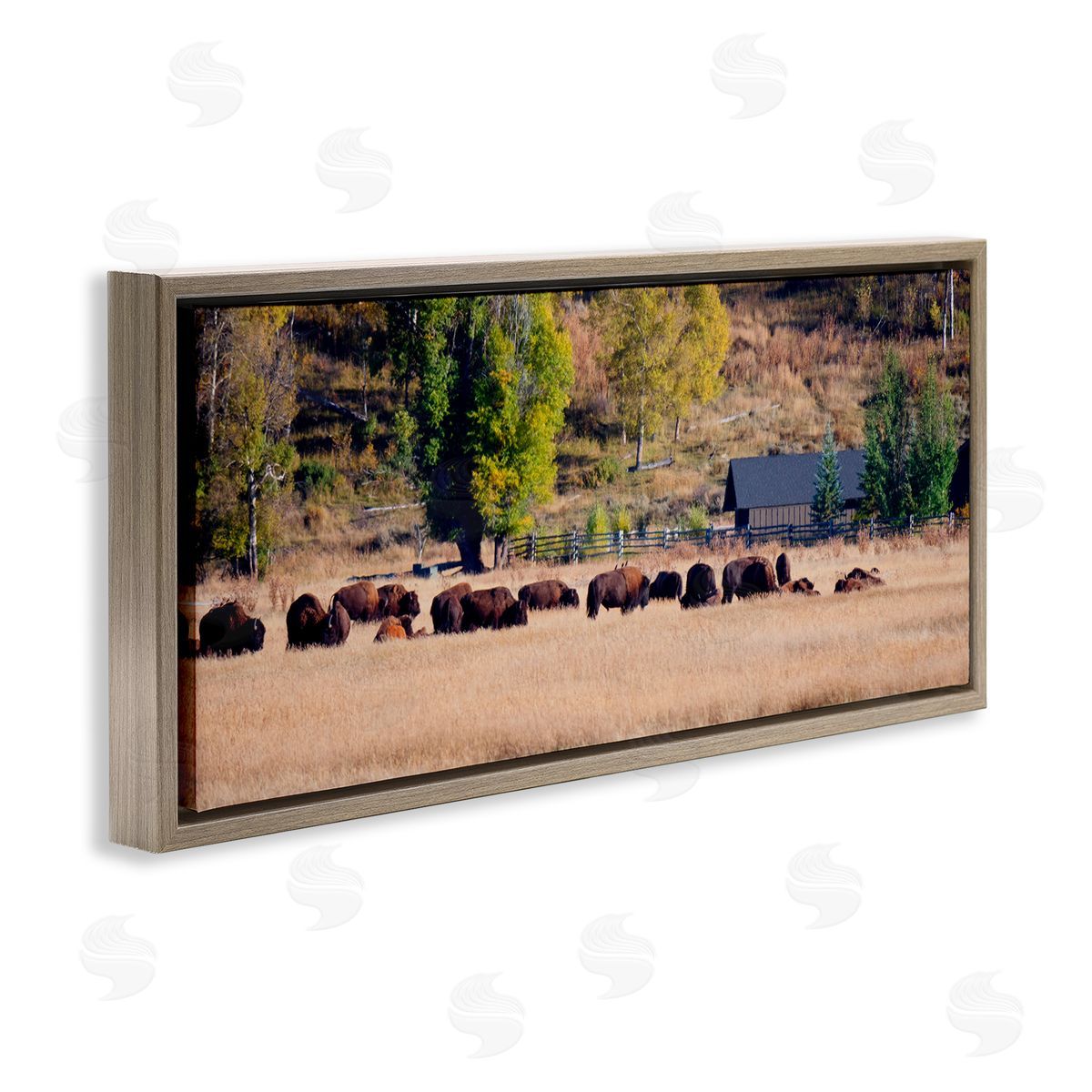 Stede Bonnett Rural Bison Wildlife Pasture