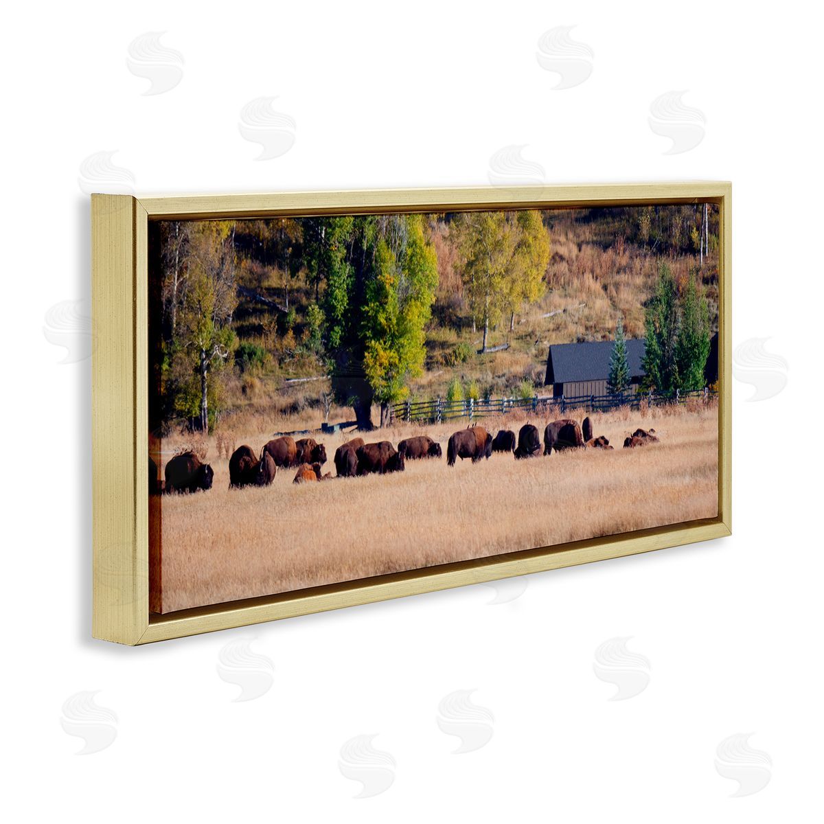 Stede Bonnett Rural Bison Wildlife Pasture