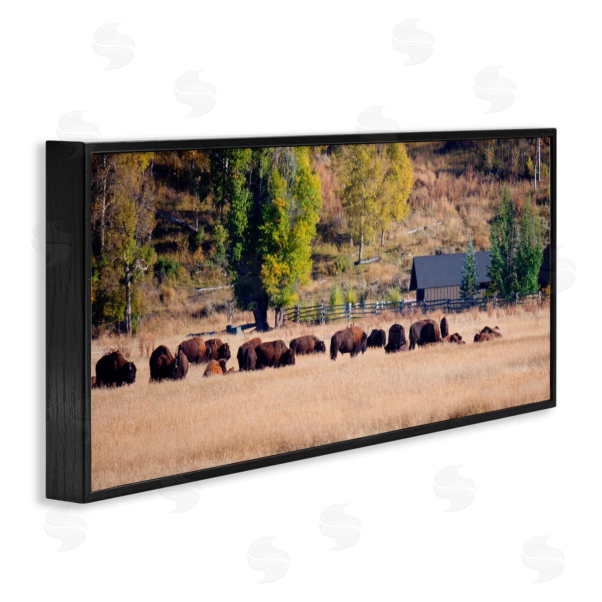 Stede Bonnett Rural Bison Wildlife Pasture