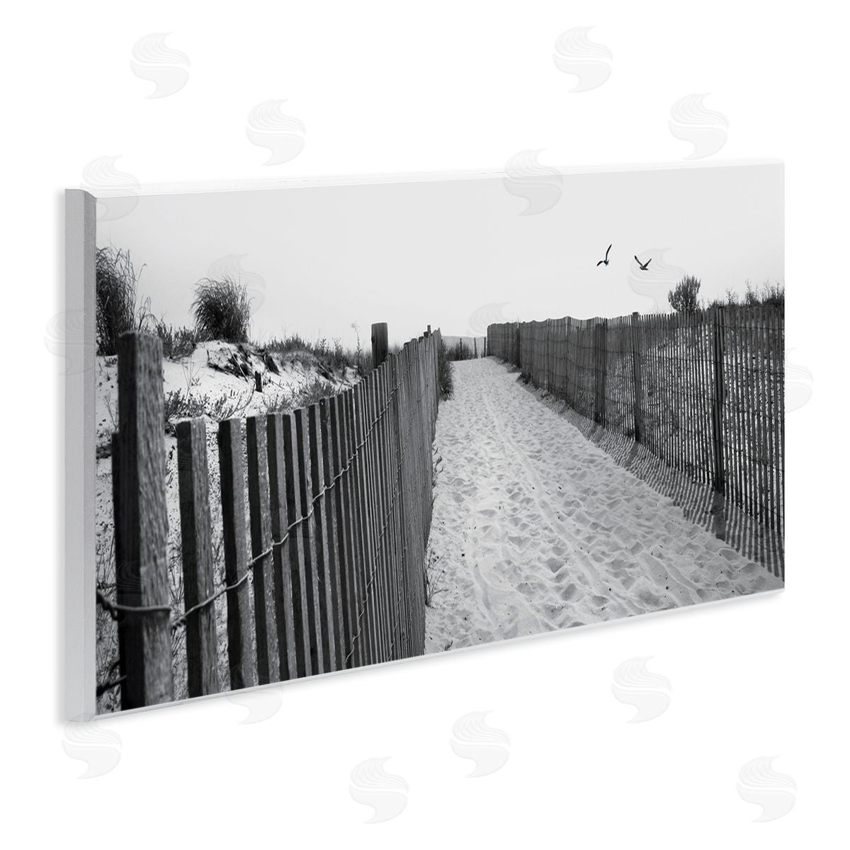 Lori Deiter Sandy Beach Boardwalk Overhead Seagulls