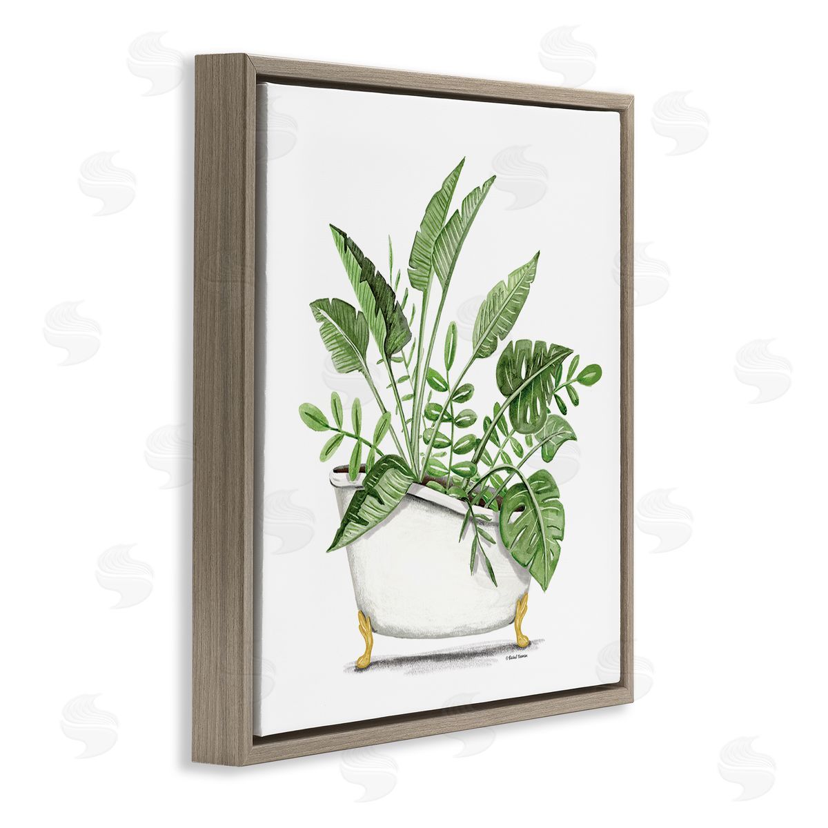 Rachel Nieman Tropical Monstera Plants Vintage Tub Brown Floating Frame Canvas Wall Art Print