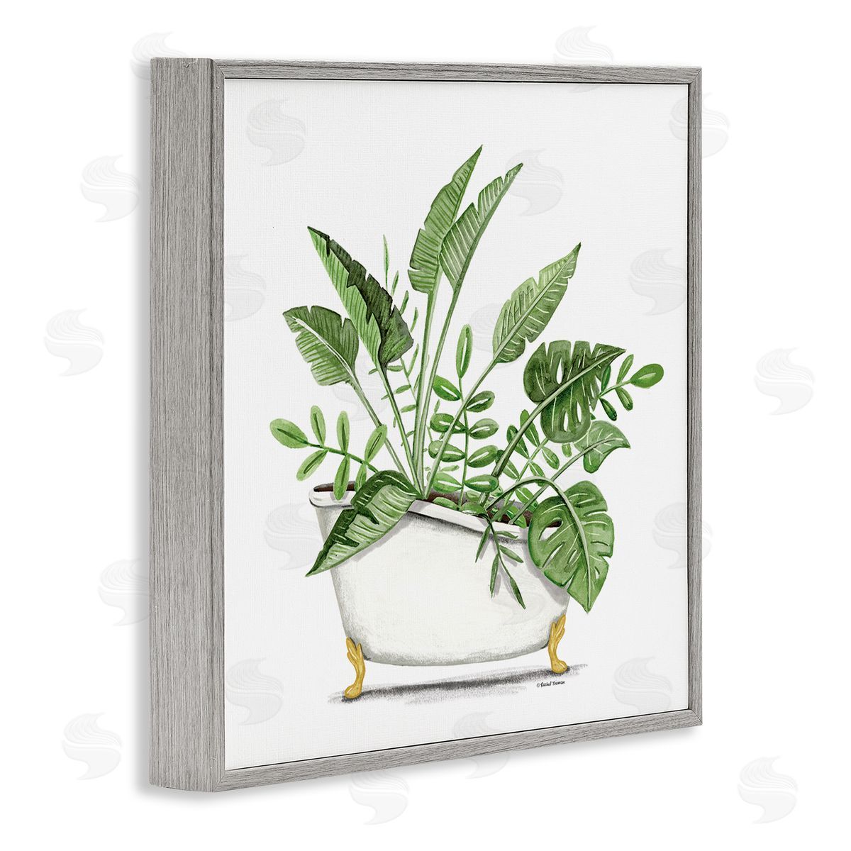 Rachel Nieman Tropical Monstera Plants Vintage Tub Gray Framed Glicee Wall Art Print
