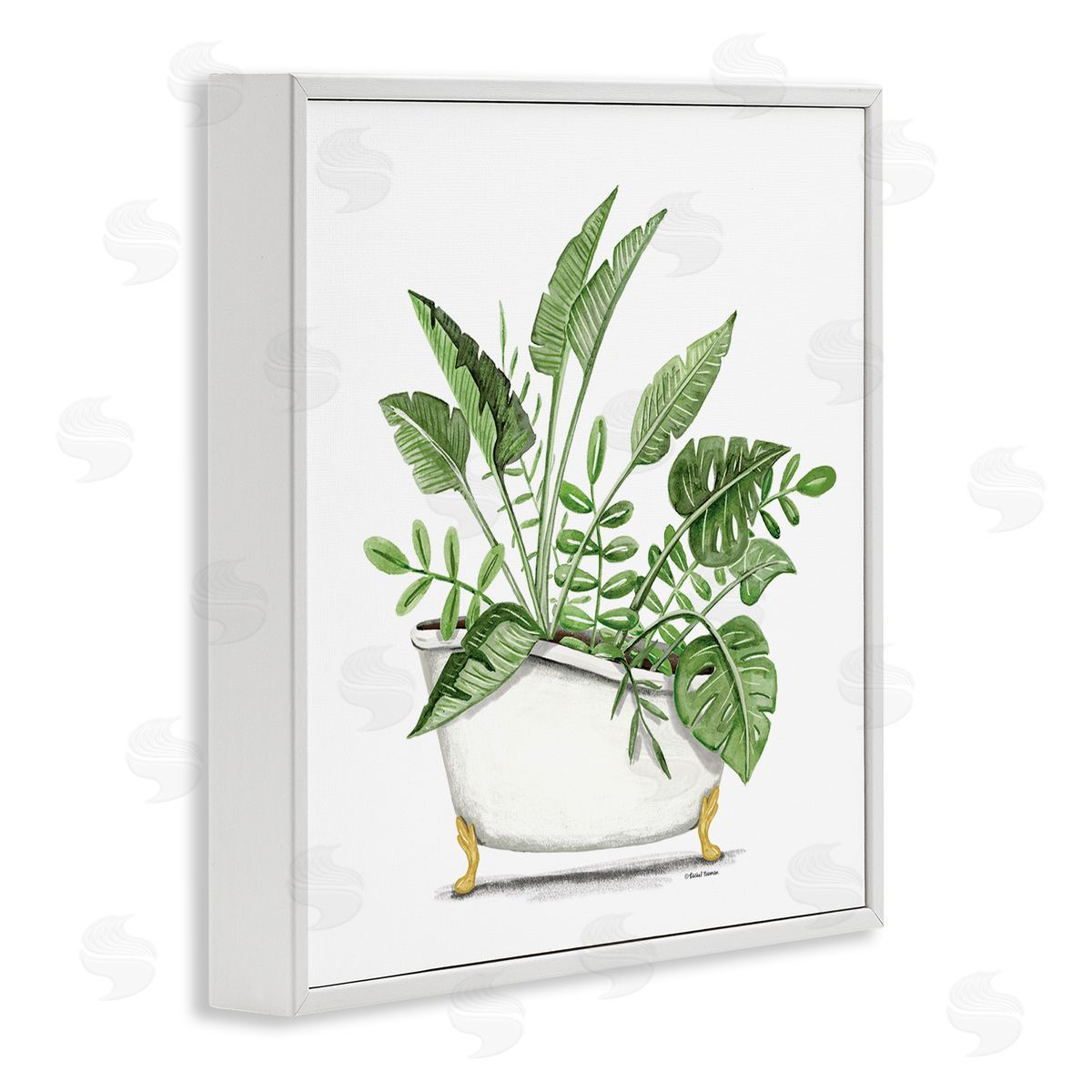 Rachel Nieman Tropical Monstera Plants Vintage Tub White Framed Glicee Wall Art Print