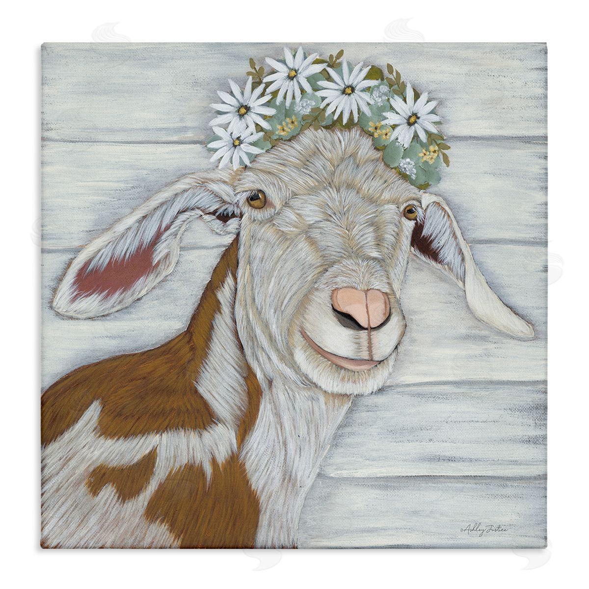 Ashley Justice Country Goat Daisy Flower Crown Stretched Canvas Wall Art Print