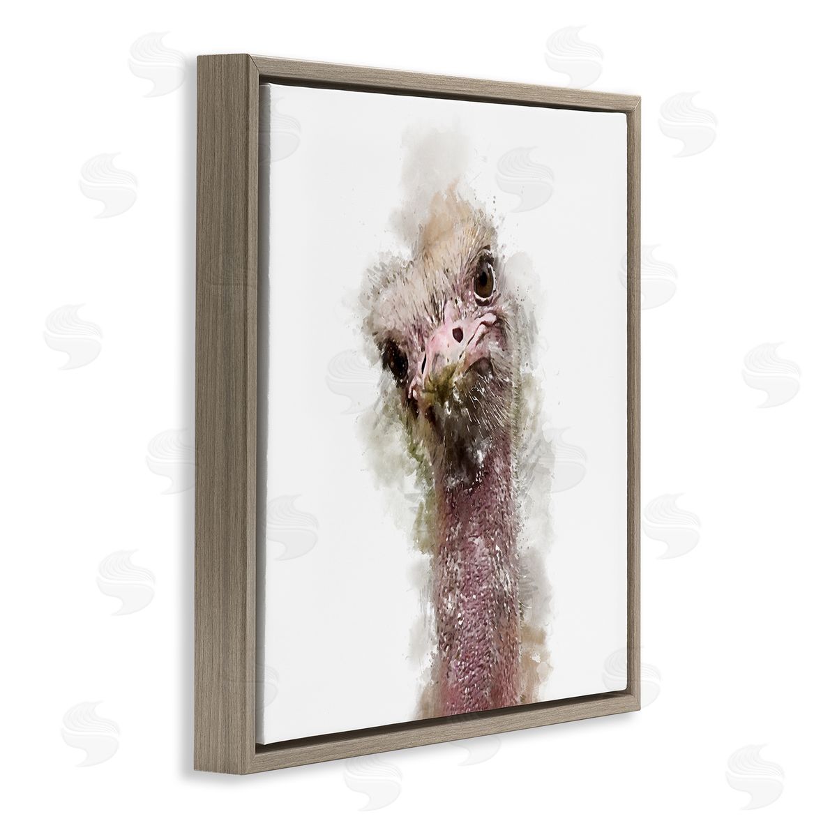 Kim Curinga Curious Ostrich Face Portrait Brown Floating Frame Canvas Wall Art Print