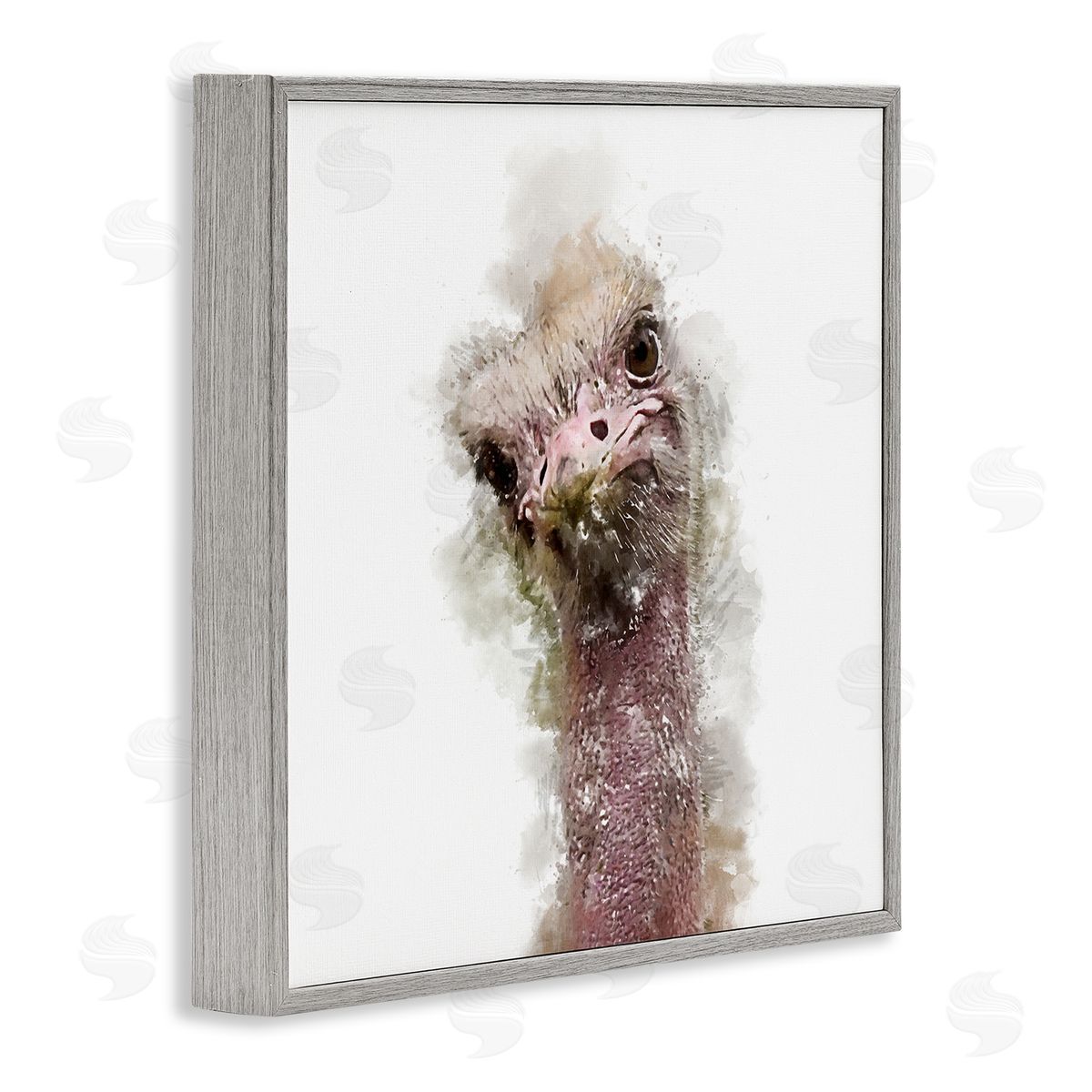 Kim Curinga Curious Ostrich Face Portrait Gray Framed Glicee Wall Art Print