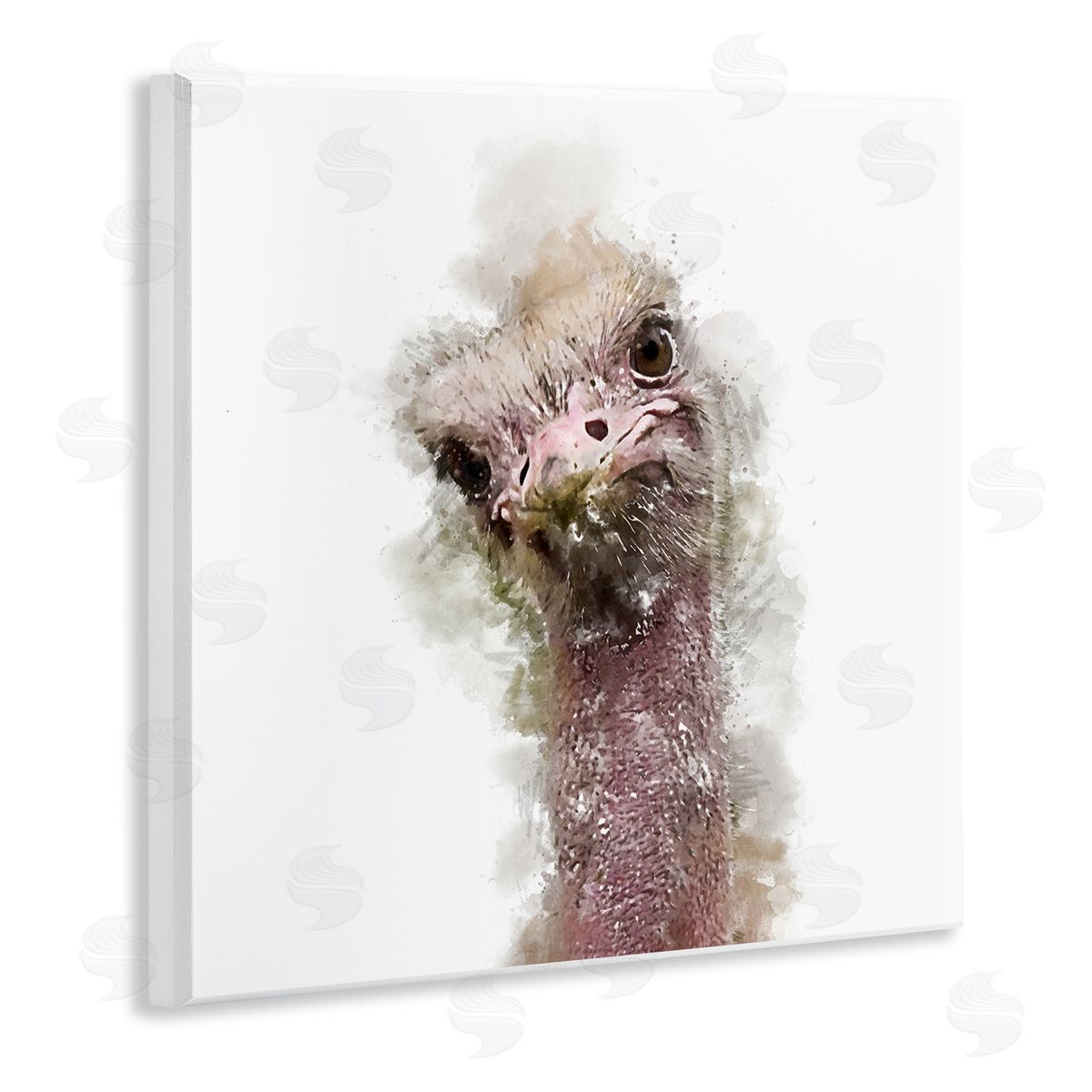 Kim Curinga Curious Ostrich Face Portrait Wooden Wall Plaque Art Print