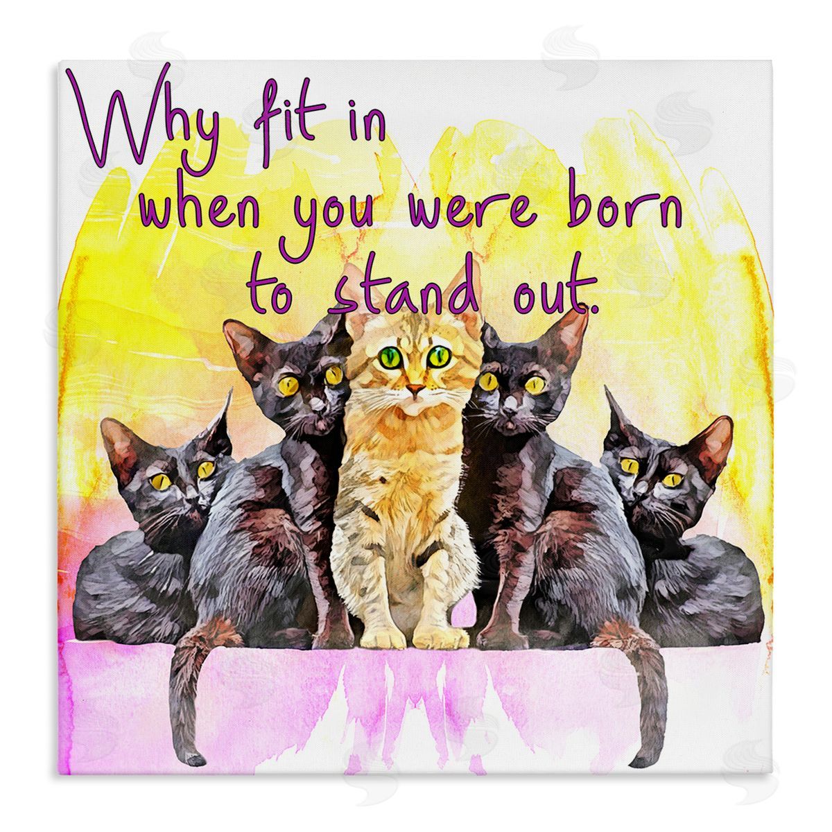 Kim Curinga Born To Stand Out Cats Pet Phrase Stretched Canvas Wall Art Print
