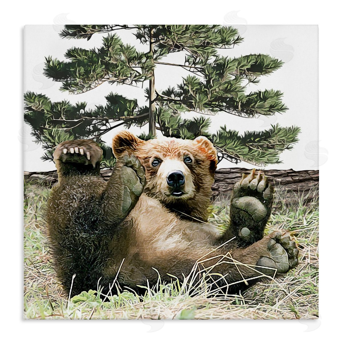 Kim Curinga Playing Bear Cub Forest Trees Stretched Canvas Wall Art Print