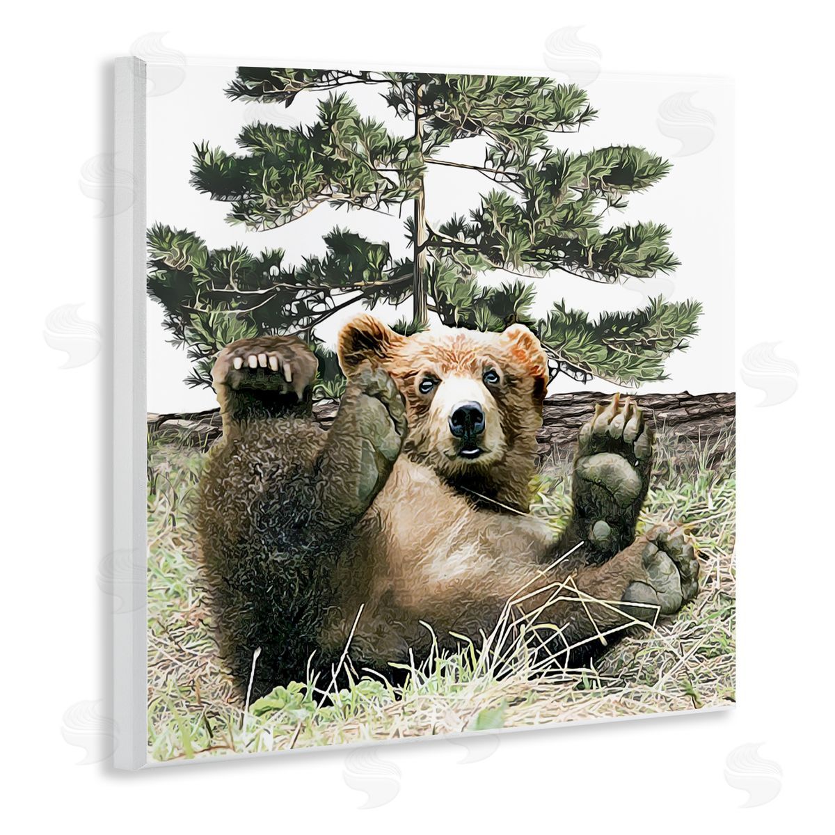 Kim Curinga Playing Bear Cub Forest Trees Wooden Wall Plaque Art Print