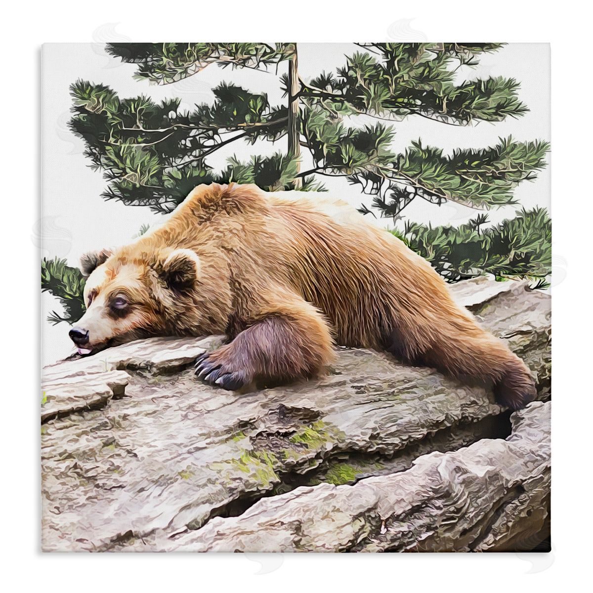 Kim Curinga Sleeping Brown Bear Wildlife Stretched Canvas Wall Art Print