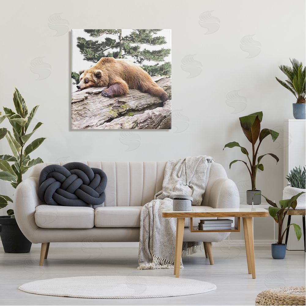Kim Curinga Sleeping Brown Bear Wildlife Canvas Wall Art in Room