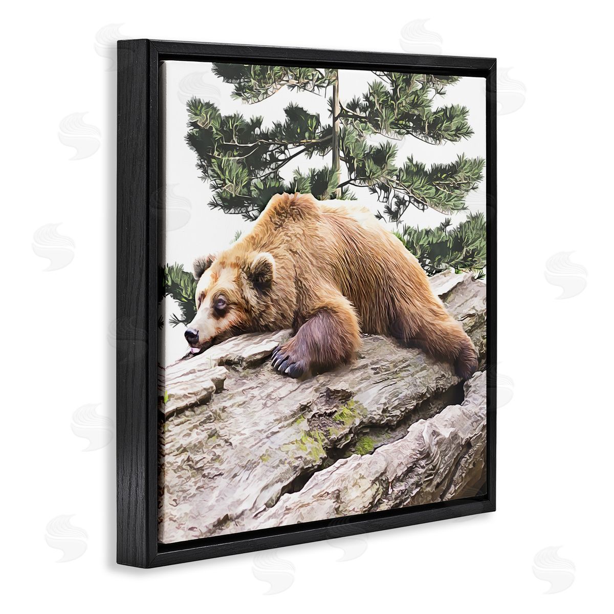 Kim Curinga Sleeping Brown Bear Wildlife Black Floating Frame Canvas Wall Art Print