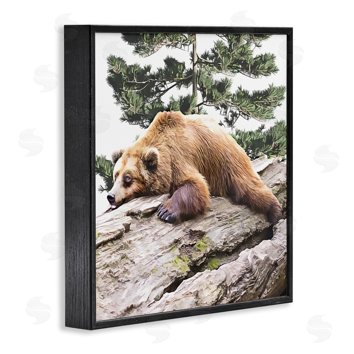 Kim Curinga Sleeping Brown Bear Wildlife Black Framed Glicee Wall Art Print