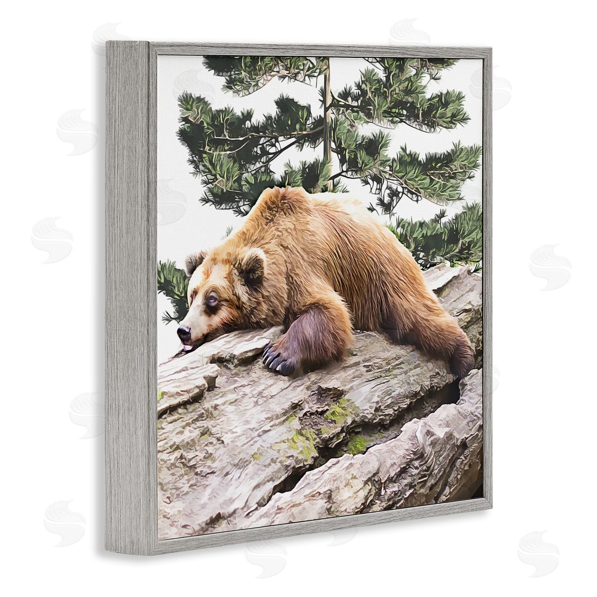 Kim Curinga Sleeping Brown Bear Wildlife Gray Framed Glicee Wall Art Print