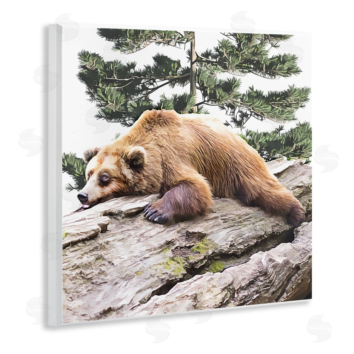 Kim Curinga Sleeping Brown Bear Wildlife Wooden Wall Plaque Art Print