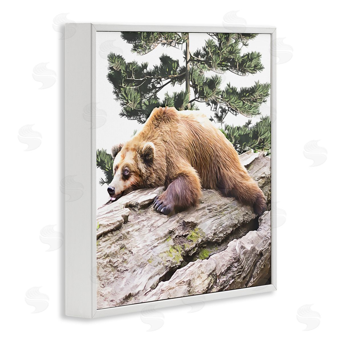 Kim Curinga Sleeping Brown Bear Wildlife White Framed Glicee Wall Art Print