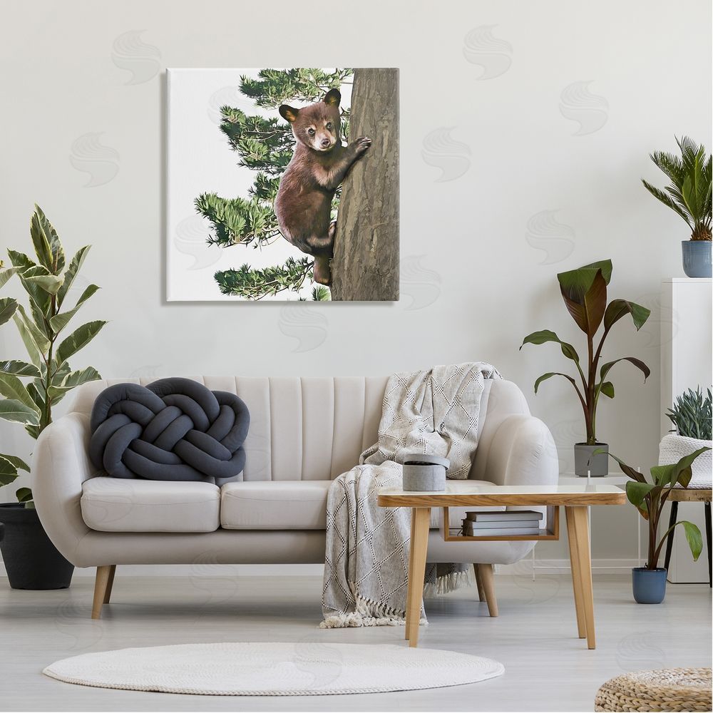 Kim Curinga Bear Cub Climbing Tree Nature Canvas Wall Art in Room