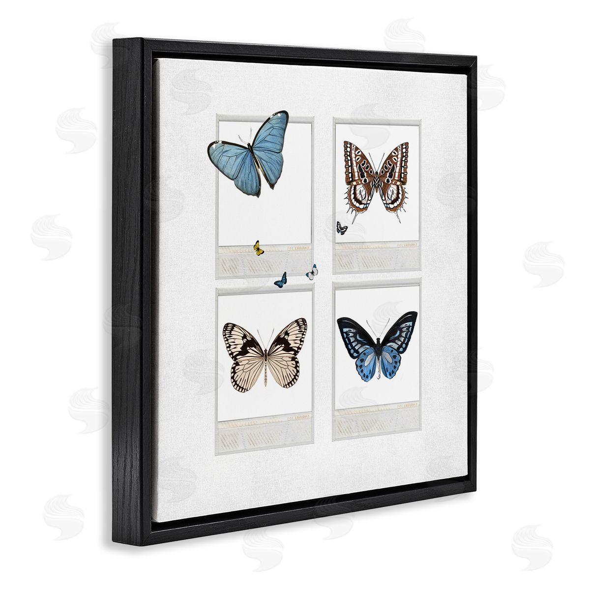 Karen Smith Butterflies Vintage Film Nature Black Floating Frame Canvas Wall Art Print