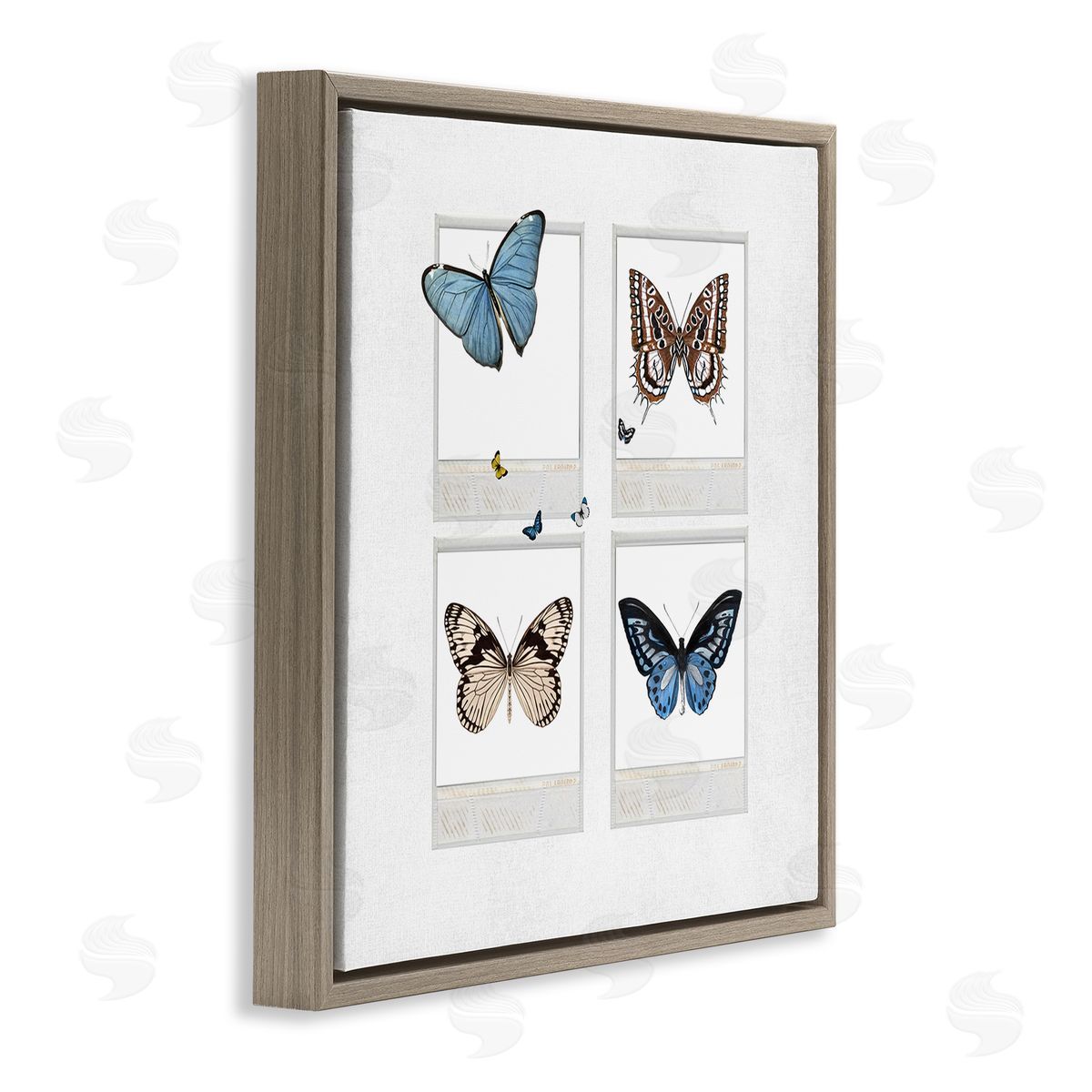Karen Smith Butterflies Vintage Film Nature Brown Floating Frame Canvas Wall Art Print