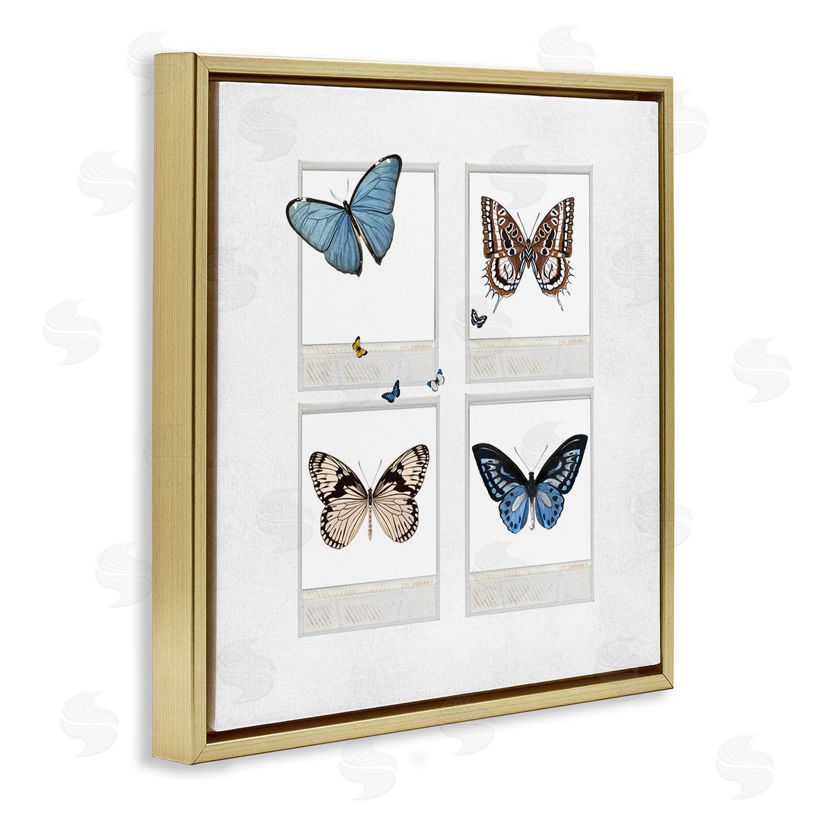 Karen Smith Butterflies Vintage Film Nature Gold Floating Frame Canvas Wall Art Print