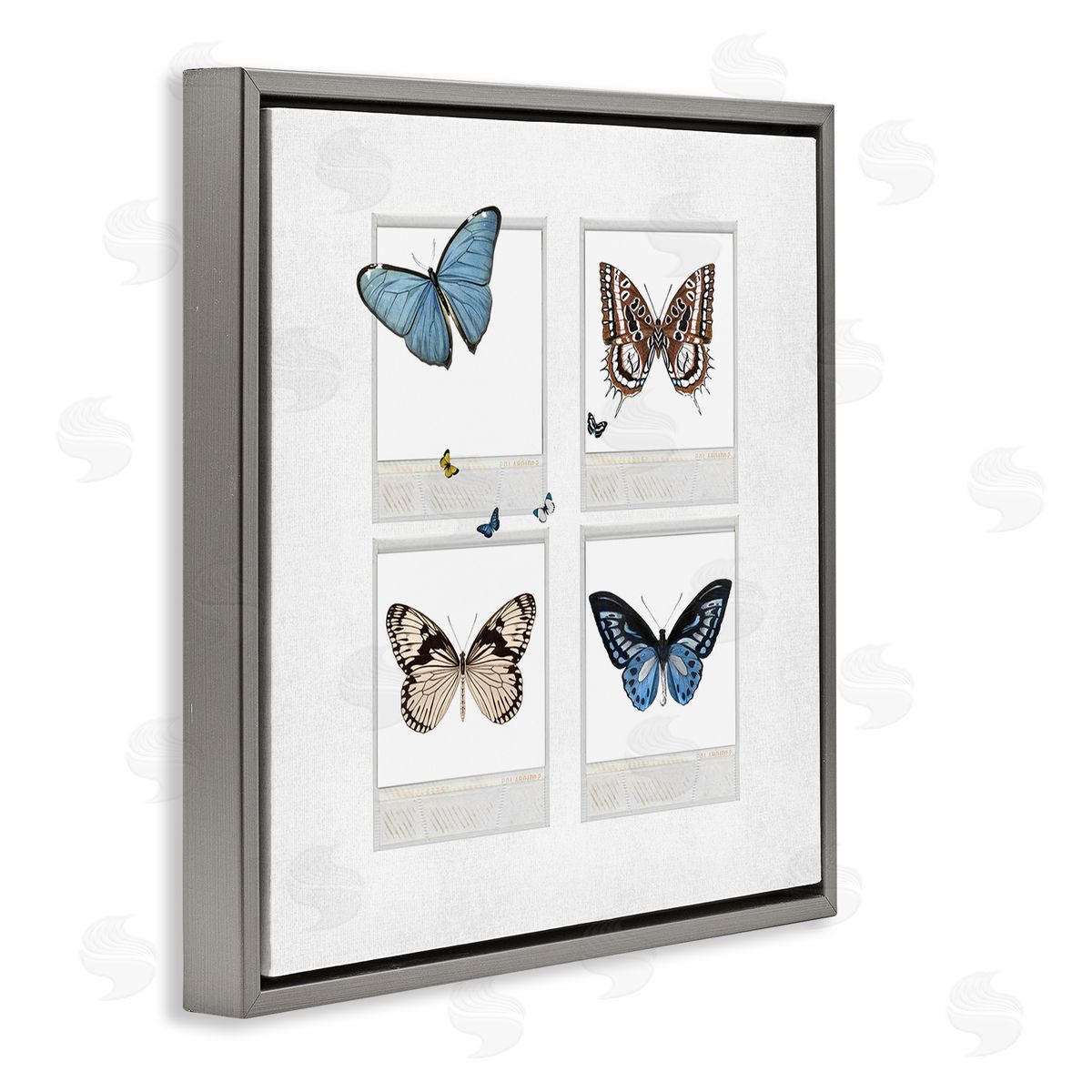 Karen Smith Butterflies Vintage Film Nature Gray Floating Frame Canvas Wall Art Print
