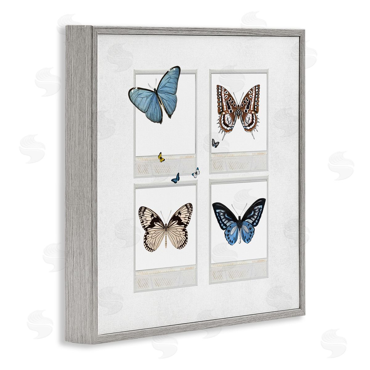 Karen Smith Butterflies Vintage Film Nature Gray Framed Glicee Wall Art Print