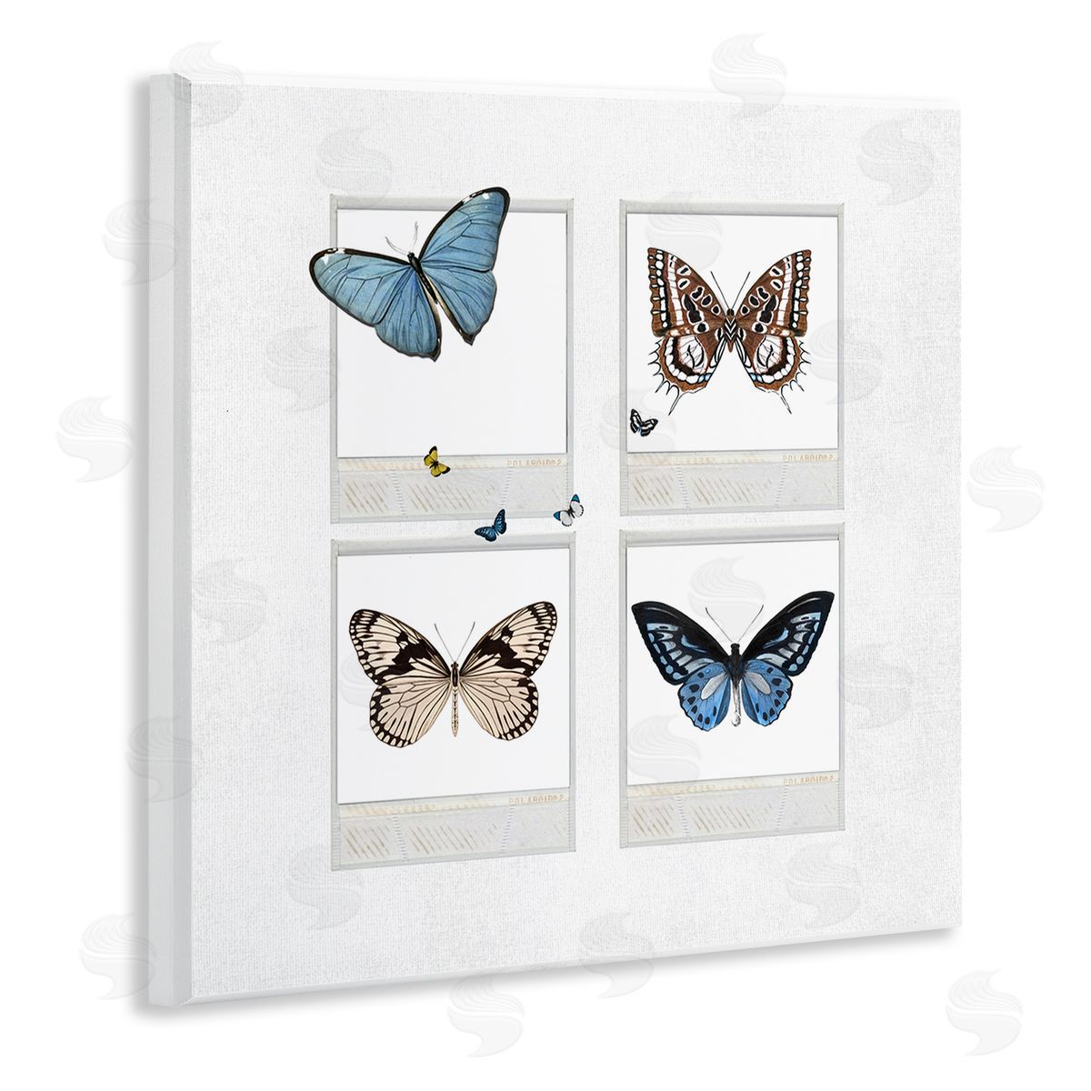 Karen Smith Butterflies Vintage Film Nature Wooden Wall Plaque Art Print