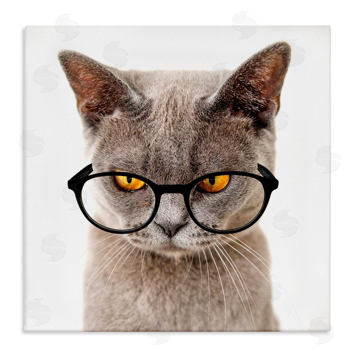Karen Smith Cat Face Hipster Glasses Stretched Canvas Wall Art Print