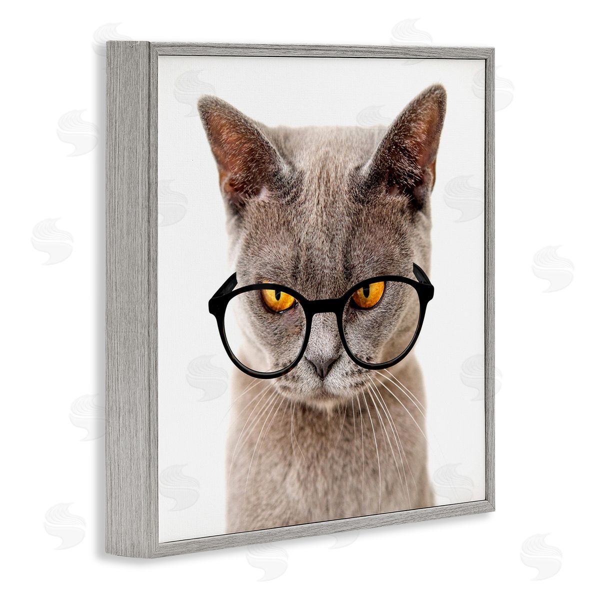 Karen Smith Cat Face Hipster Glasses Gray Framed Glicee Wall Art Print