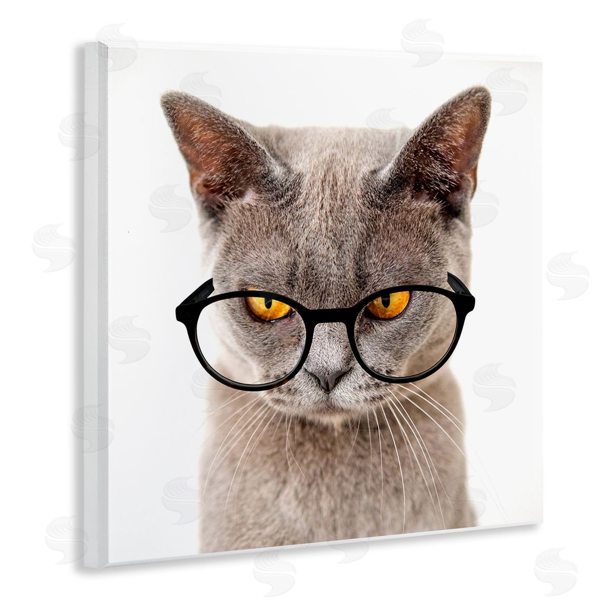 Karen Smith Cat Face Hipster Glasses Wooden Wall Plaque Art Print