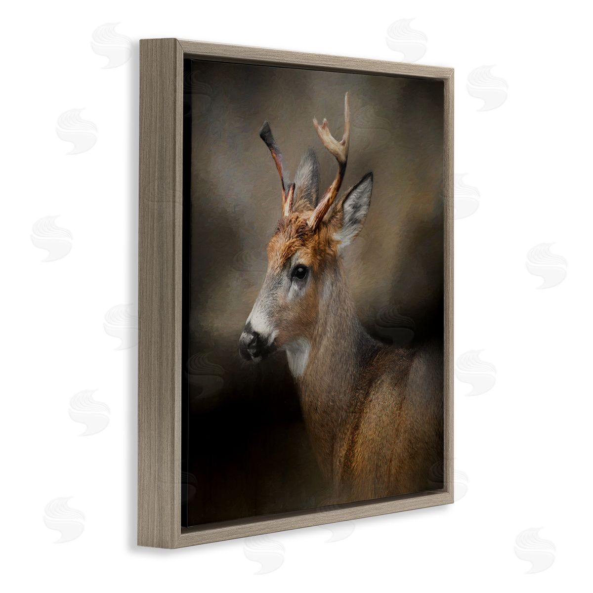 Kelley Parker Woodland Deer Nature Photography Brown Floating Frame Canvas Wall Art Print