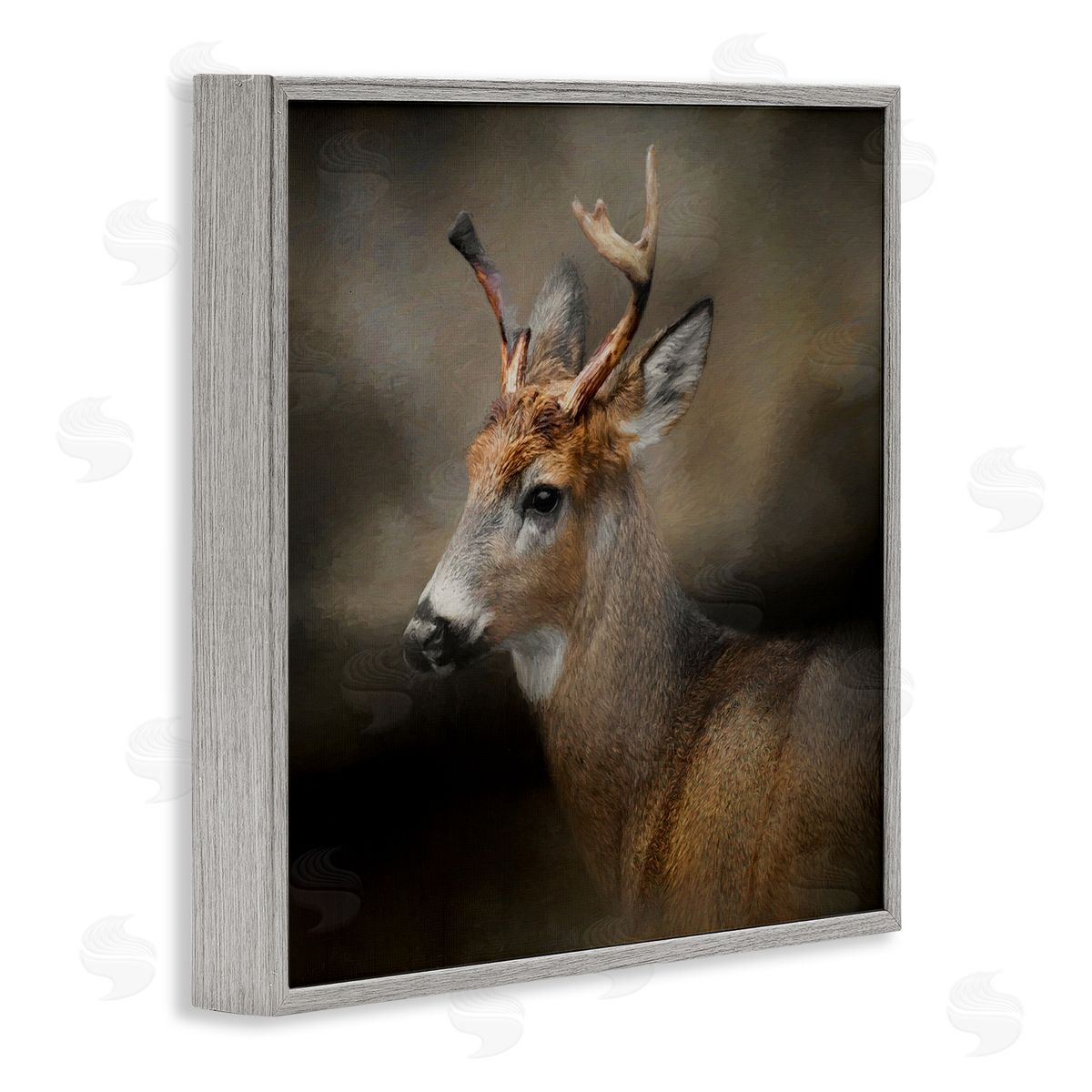 Kelley Parker Woodland Deer Nature Photography Gray Framed Glicee Wall Art Print