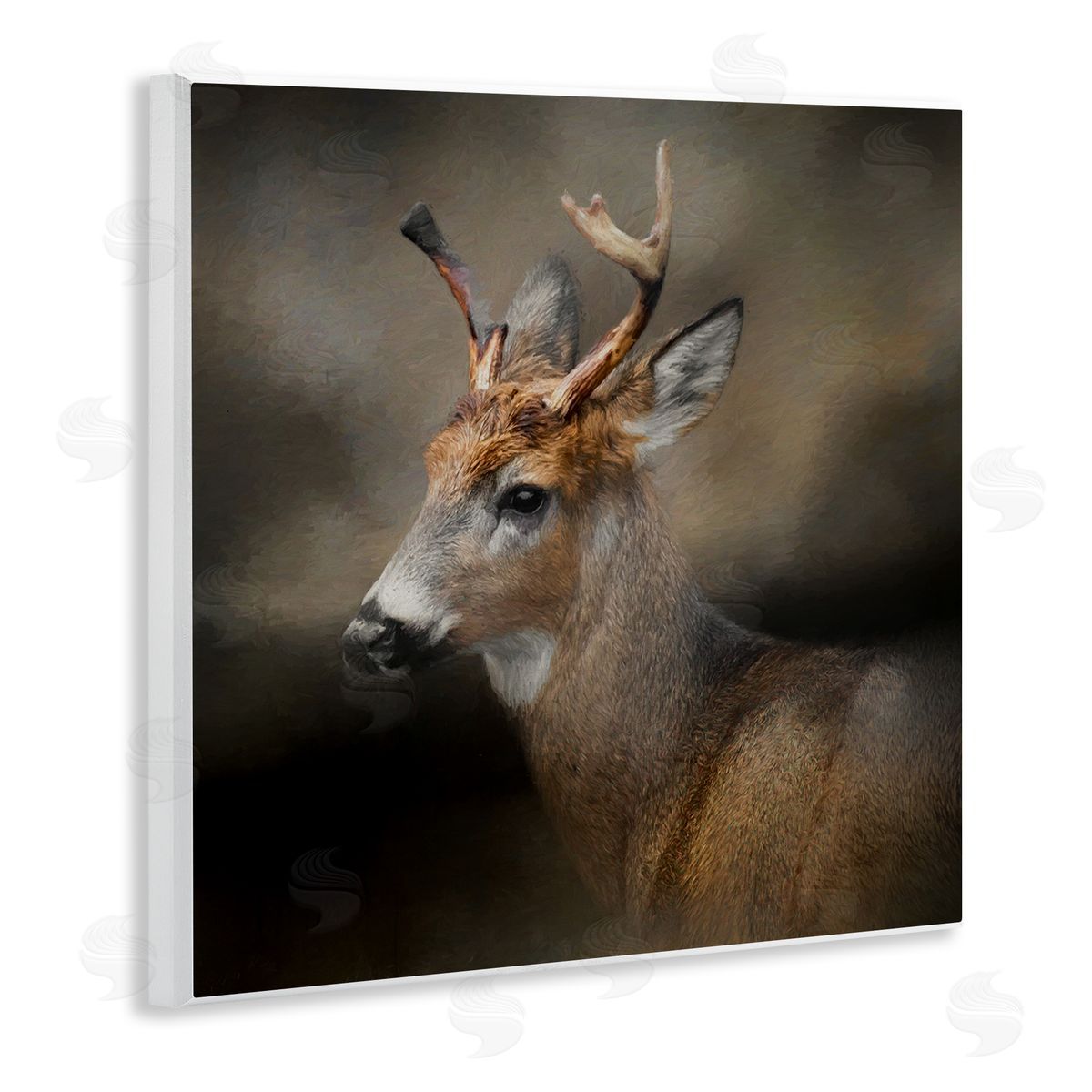 Kelley Parker Woodland Deer Nature Photography Wooden Wall Plaque Art Print