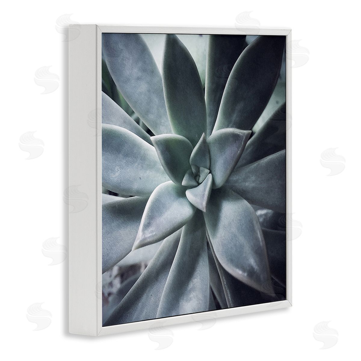 Jessica Manelis Succulent Plant Photography White Framed Glicee Wall Art Print