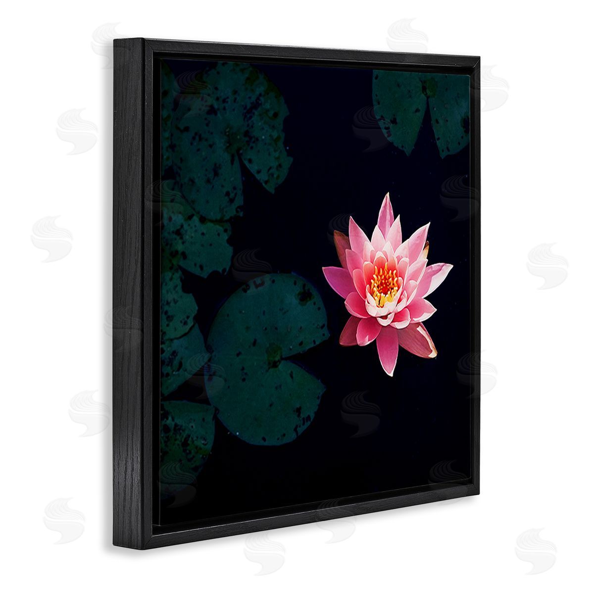 Jessica Manelis Pink Lotus Pond Lily Flower Black Floating Frame Canvas Wall Art Print