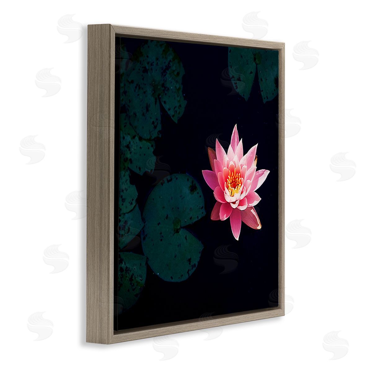 Jessica Manelis Pink Lotus Pond Lily Flower Brown Floating Frame Canvas Wall Art Print