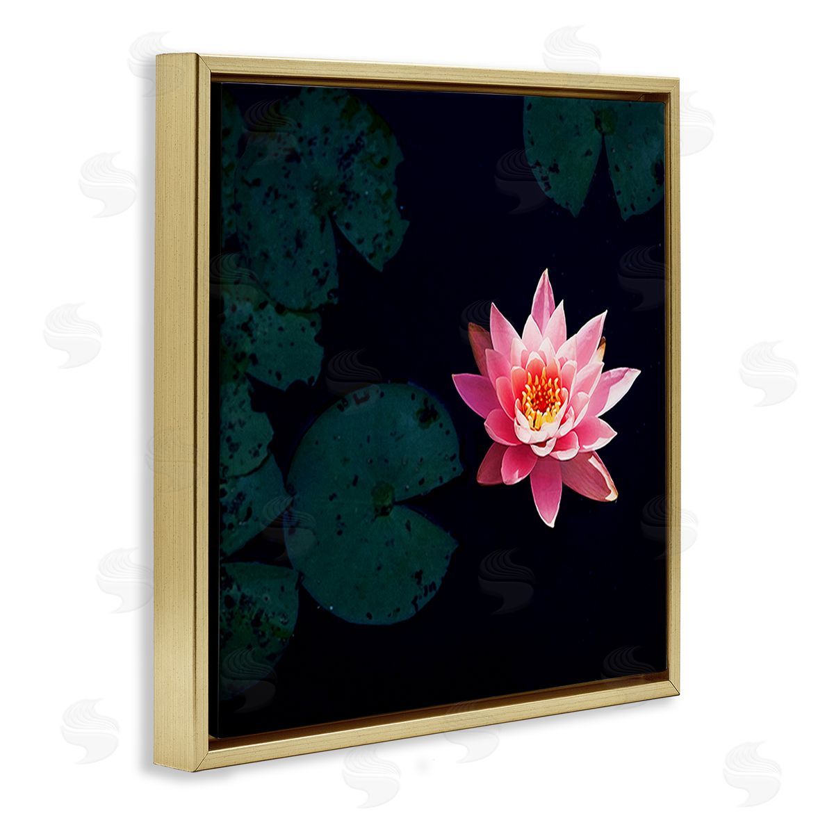 Jessica Manelis Pink Lotus Pond Lily Flower Gold Floating Frame Canvas Wall Art Print