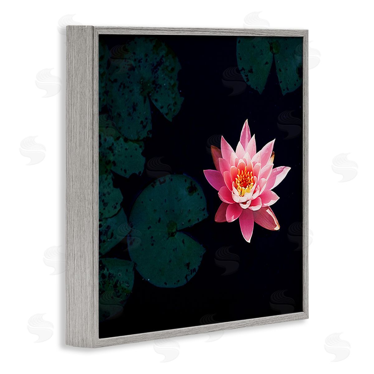 Jessica Manelis Pink Lotus Pond Lily Flower Gray Framed Glicee Wall Art Print