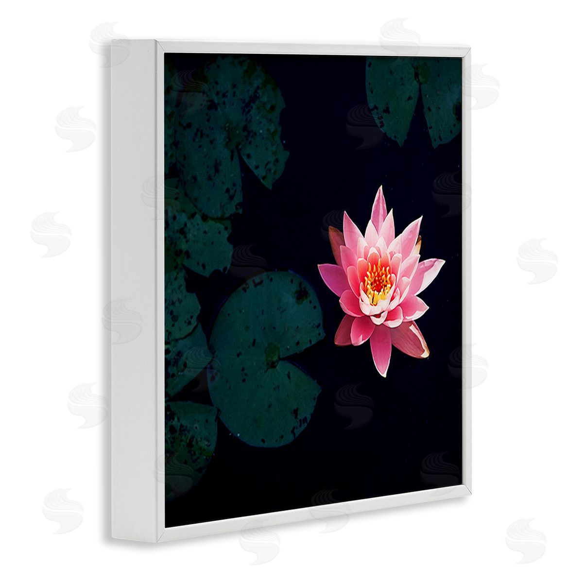 Jessica Manelis Pink Lotus Pond Lily Flower White Framed Glicee Wall Art Print