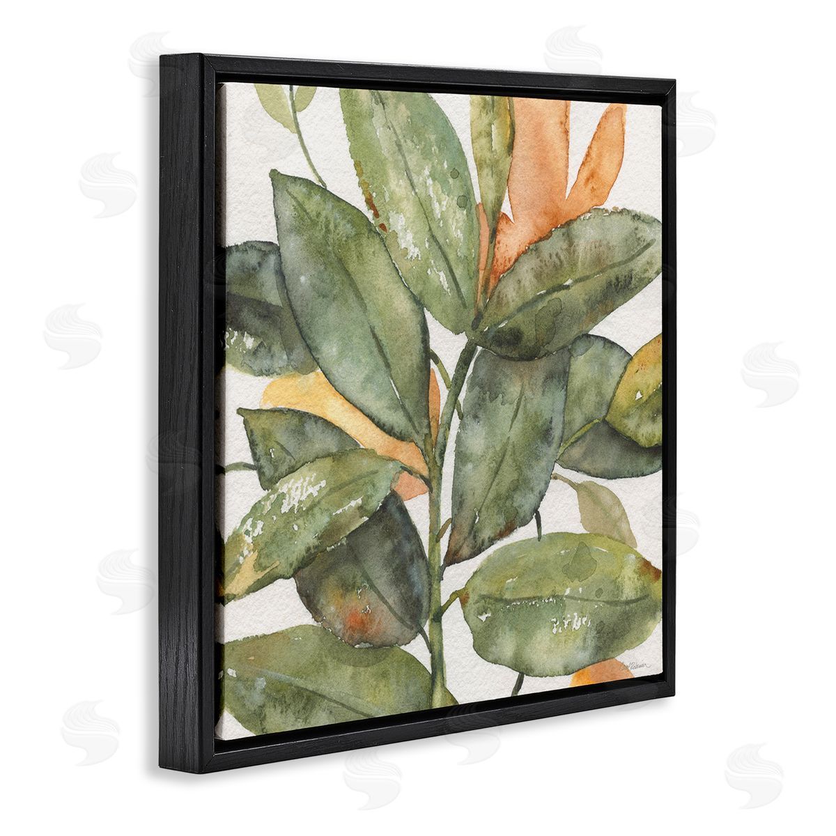 Carol Robinson Botanical Leaves Watercolor Plant Black Floating Frame Canvas Wall Art Print
