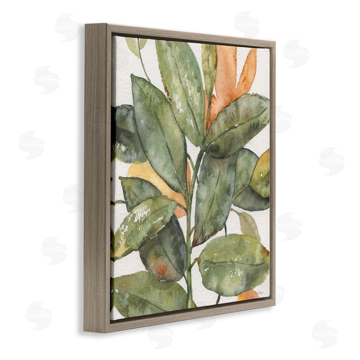Carol Robinson Botanical Leaves Watercolor Plant Brown Floating Frame Canvas Wall Art Print