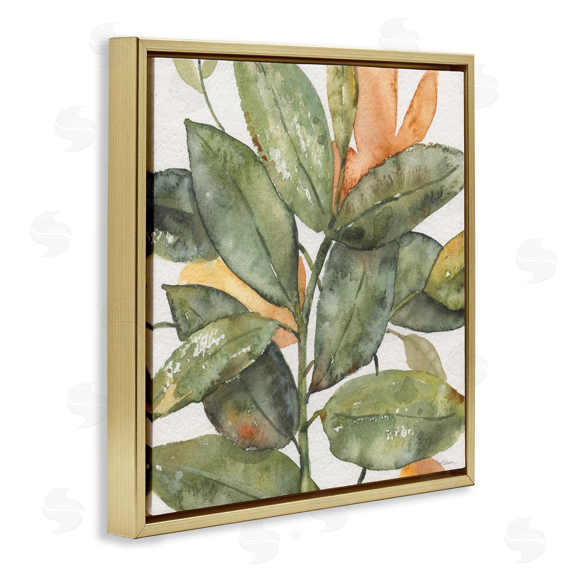 Carol Robinson Botanical Leaves Watercolor Plant Gold Floating Frame Canvas Wall Art Print